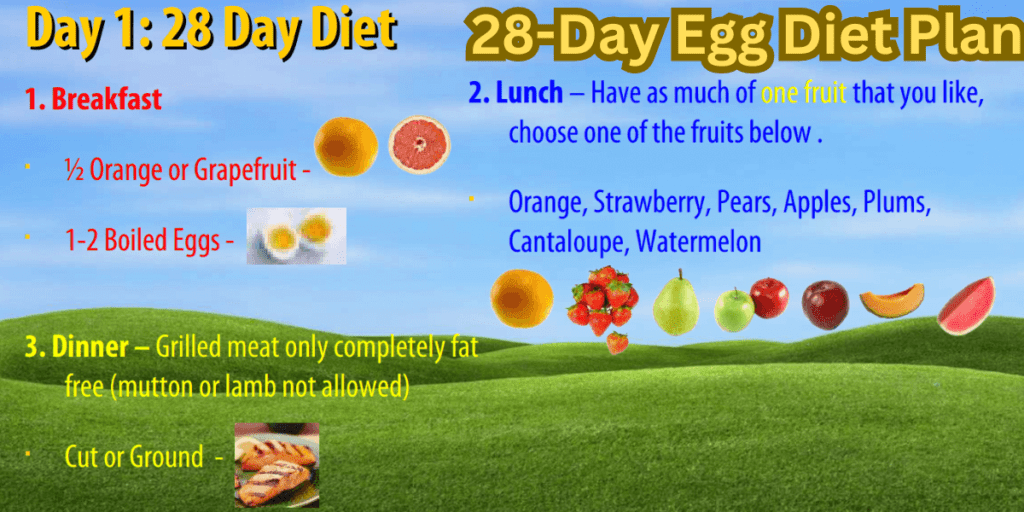 28-day-egg-diet-plan-pdf-lose-weight-fast-and-healthy-usa-file-zone